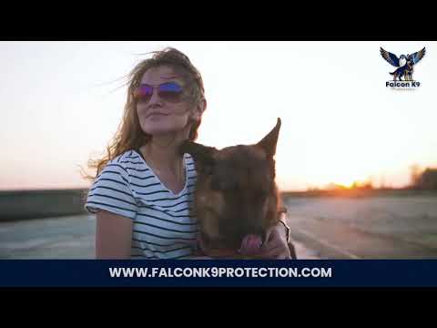 Falcon K9 Protection - Introduction