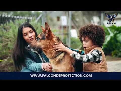Falcon K9 Protection Video 3